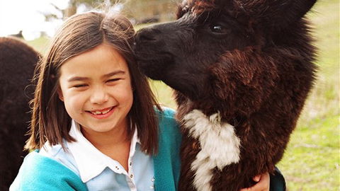 Sabrelyn Park - Local Tourism 1