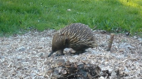 Sabrelyn Park - Local Tourism 5