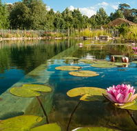 Planetrees Estate  - Local Tourism