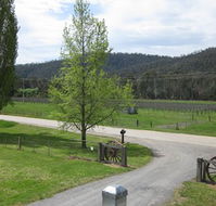 Glenmore Springs Accommodation - Local Tourism