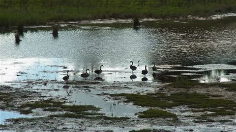 Curdievale Riverfront Lodge - Local Tourism 6