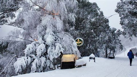 Feathertop Alpine Lodge - Local Tourism 0