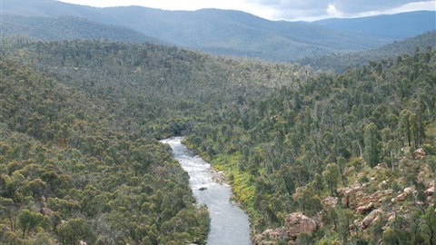 The Willows - Accommodation Australia 3