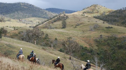 The Willows - Accommodation Australia 2