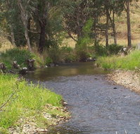 Murphy's Cabin - Accommodation Australia