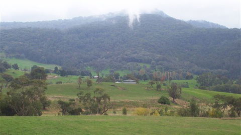Murphy's Cabin - Local Tourism 1