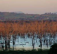 Salisbury - Local Tourism