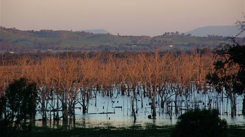 Salisbury - Accommodation Australia 0