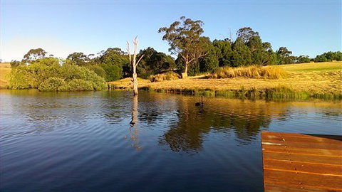 Cygnet Park Country Retreat - Accommodation Australia 4