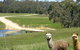 Cygnet Park Country Retreat - thumb 3