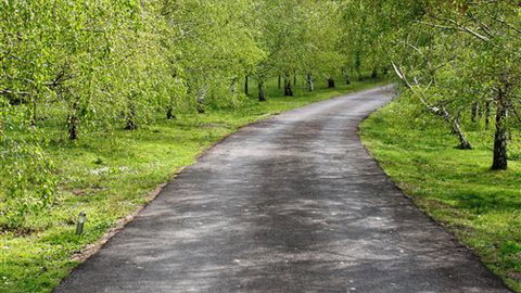 The Barn At Charlottes Hill - Bed n Breakfasts 6