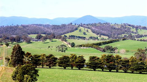 The Barn At Charlottes Hill - Bed n Breakfasts 7