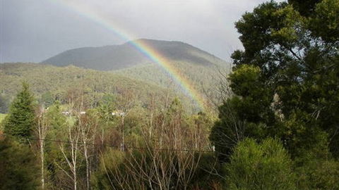 Wattletree Cottage - Local Tourism 0