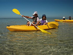 Ceduna Shelly Beach Caravan Park And Beachfront Villas - Accommodation Australia 3