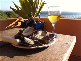 Ceduna Shelly Beach Caravan Park And Beachfront Villas - Accommodation Australia 4