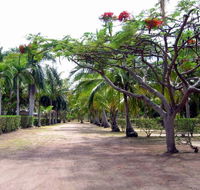 Alva Beach Tourist Park - Accommodation Australia