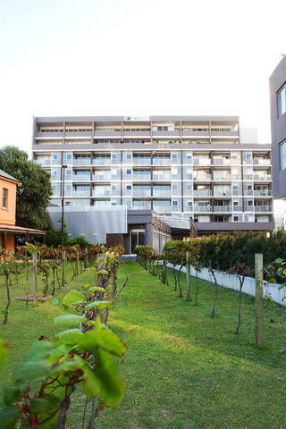B7 Honeysuckle Apartments - Accommodation Australia 1