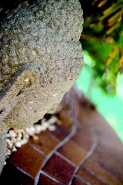 Ballina Palms Boutique Motel - thumb 0