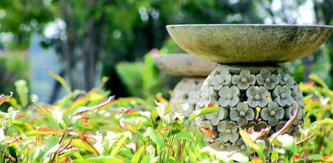 Ballina Palms Boutique Motel - Accommodation Australia 2