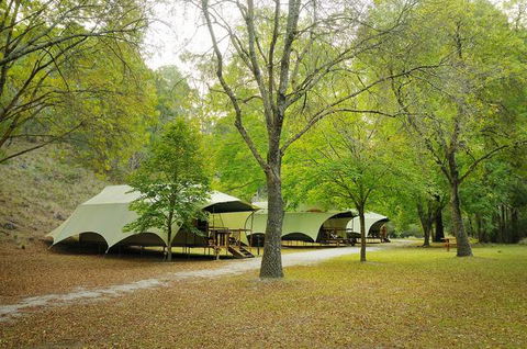 Buchan Caves Reserve - Local Tourism 0