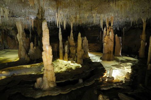Buchan Caves Reserve - Local Tourism 3