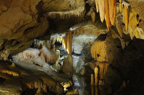 Buchan Caves Reserve - Local Tourism 4