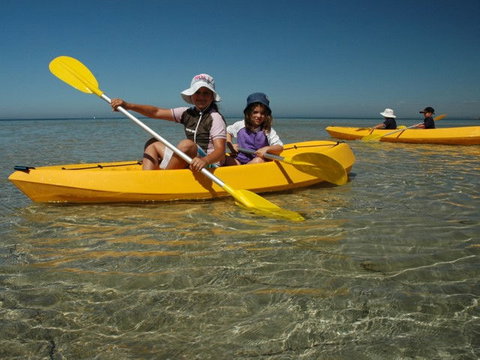 Ceduna Shelly Beach Caravan Park - Accommodation Australia 4