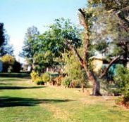 Condamine River Caravan Park - Local Tourism