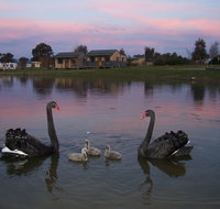 Mansfield Holiday Park - Accommodation Australia