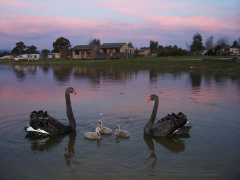 Mansfield Holiday Park - Local Tourism 0
