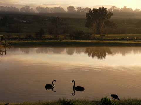 Mansfield Holiday Park - Local Tourism 2