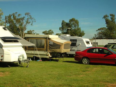 Crocodile Caravan  & Camping Park - Accommodation Australia 0