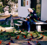 Inland Waters Holiday Parks Burrinjuck - Accommodation Australia