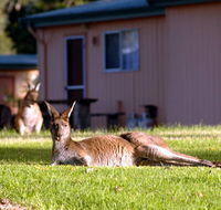 Kalgan River Chalets  Caravan Park