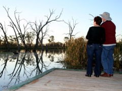 Kingston-On-Murray Caravan Park - Accommodation Australia 2