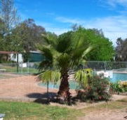 Lake Burrinjuck Leisure Resort - Accommodation Australia