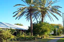 Merino Motor Inn - Accommodation Australia 0