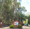 Murraybank Caravan  Camping Park - Local Tourism