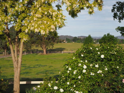 Myamba House Kyneton - Australia Shopping 5