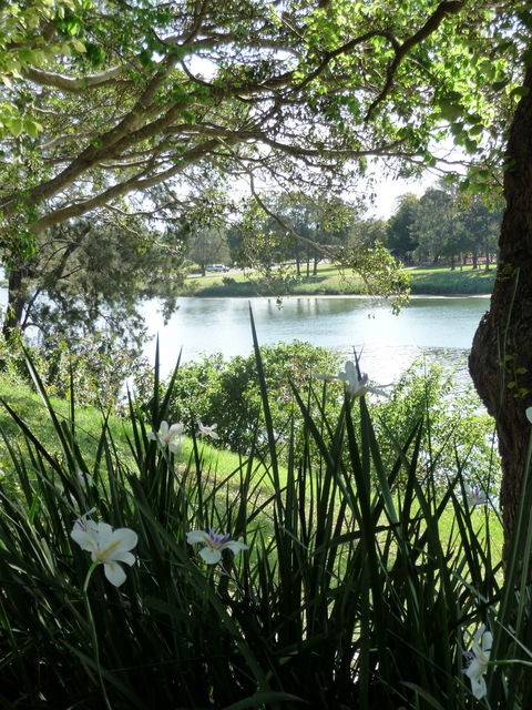 Netherby House - Australia Shopping 6