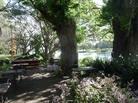 Netherby House - Australia Shopping 5