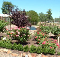 Newell Motor Inn - Accommodation Australia