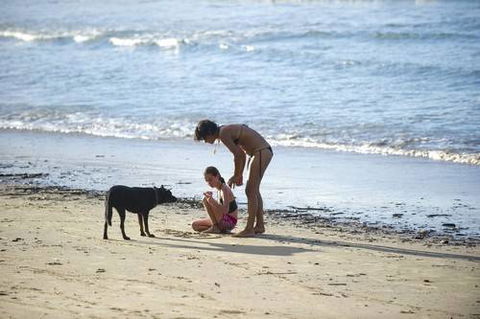 North Coast Holiday Parks Scotts Head - Accommodation Australia 2