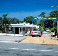 Paradise Palms Carey Bay - Local Tourism