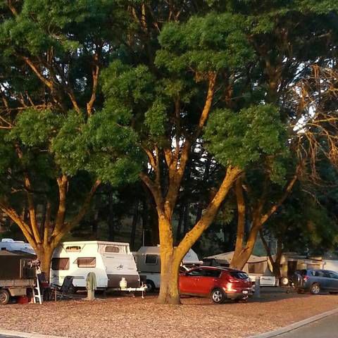 Queen Victoria Jubilee Park - Accommodation Australia 0