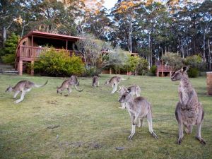 Jenolan Caves Cottages - Local Tourism 1