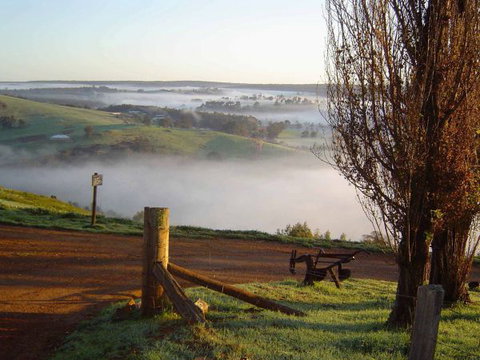 Balingup Heights Hilltop Forest Cottages - Local Tourism 4