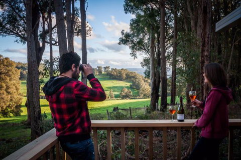 Balingup Heights Hilltop Forest Cottages - Local Tourism 5