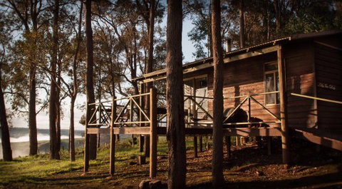 Balingup Heights Hilltop Forest Cottages - Local Tourism 6