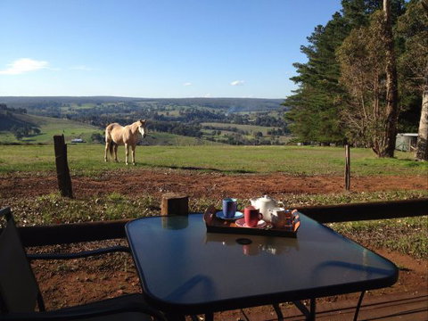 Balingup Heights Hilltop Forest Cottages - Local Tourism 7
